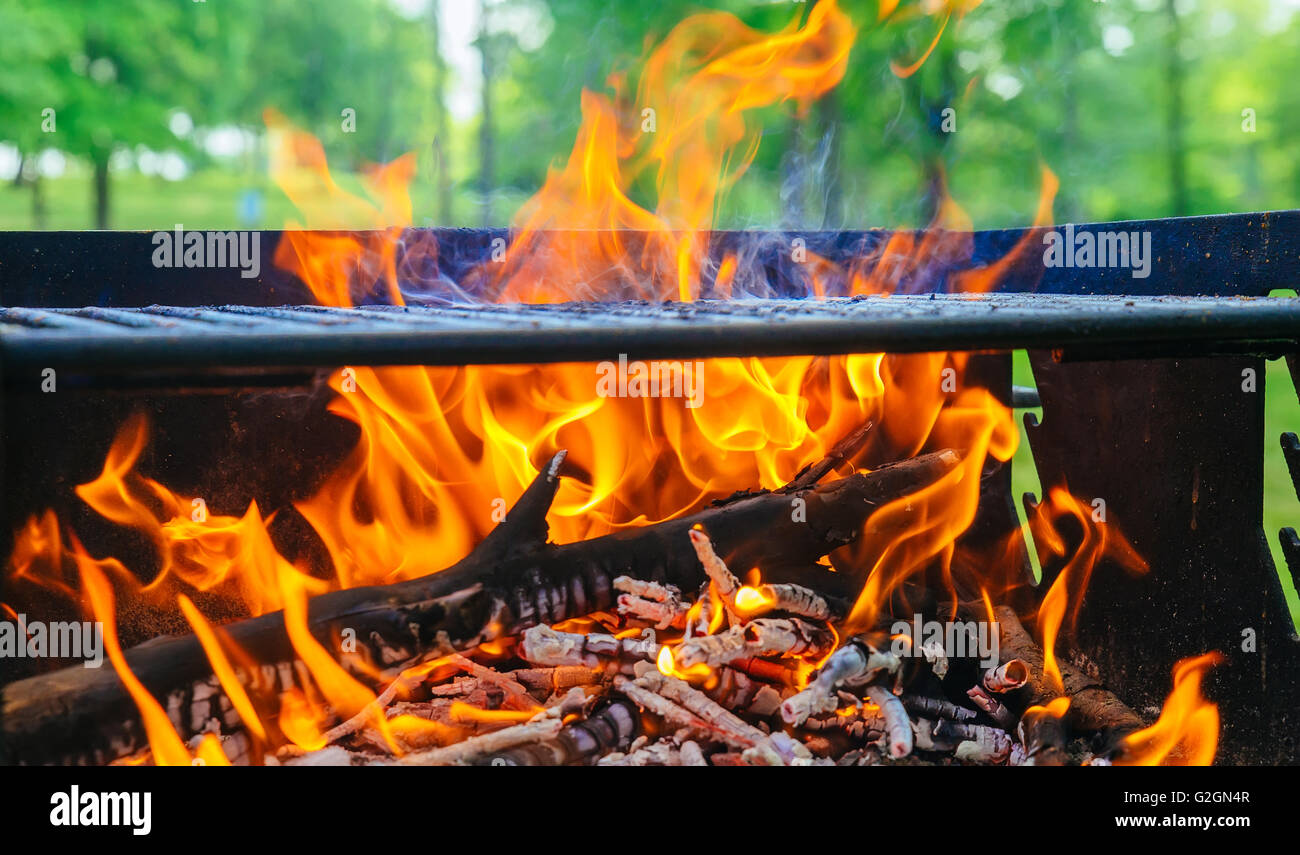 Il falò, il legno e il fuoco nel campo sulla natura del close-up Foto Stock