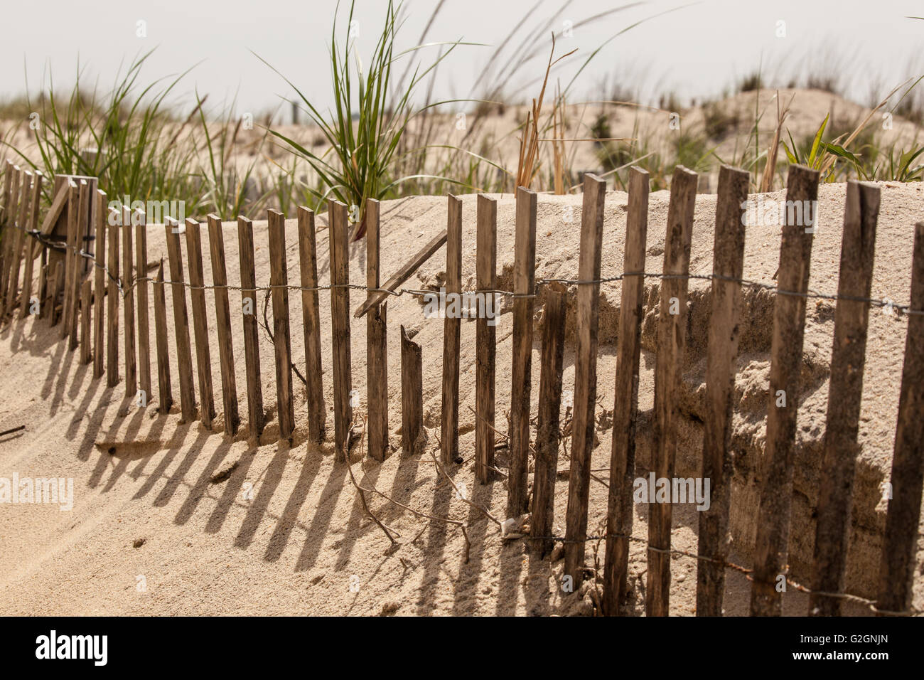 Recinzione in spiaggia e le ombre nella sabbia. Foto Stock