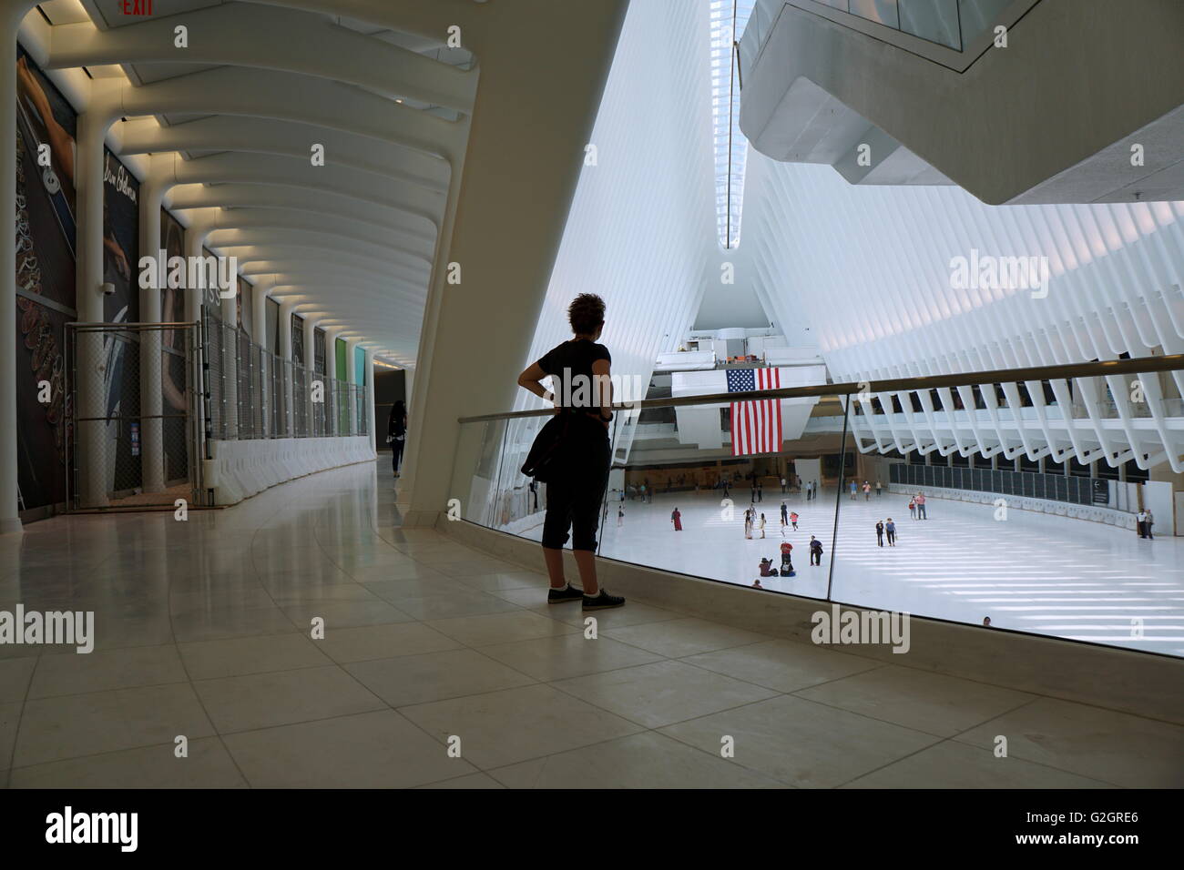 Spettatori ammirando l'interno dell'occhio Trasporto Hub, World Trade Center di New York City, NY, STATI UNITI D'AMERICA Foto Stock Spettatori ammirando l'interno dell'occhio Trasporto Hub, World Trade Center di New York City, NY, STATI UNITI D'AMERICA Foto Stock