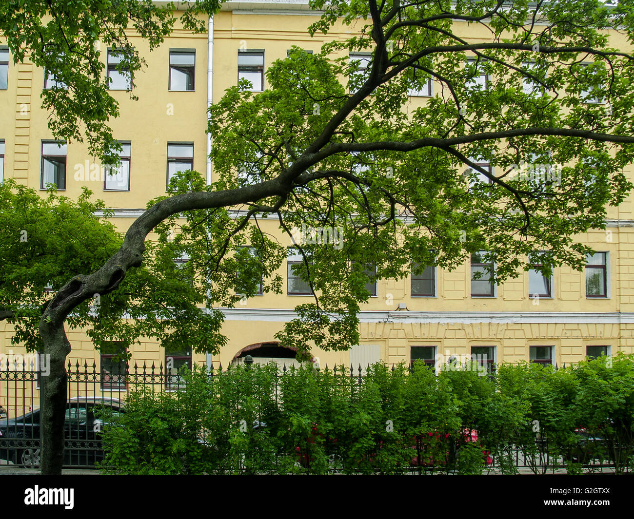 Il parco della città in una calda giornata di primavera nel mese di maggio Foto Stock