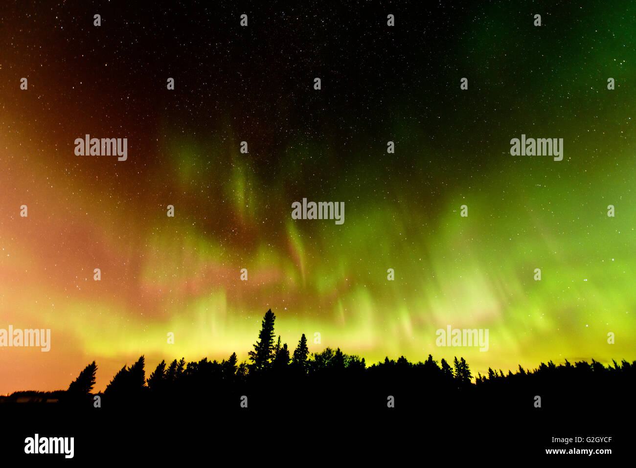 Luci del nord (Aurora boreale) Gli uccelli Collina Parco Provinciale di Manitoba in Canada Foto Stock