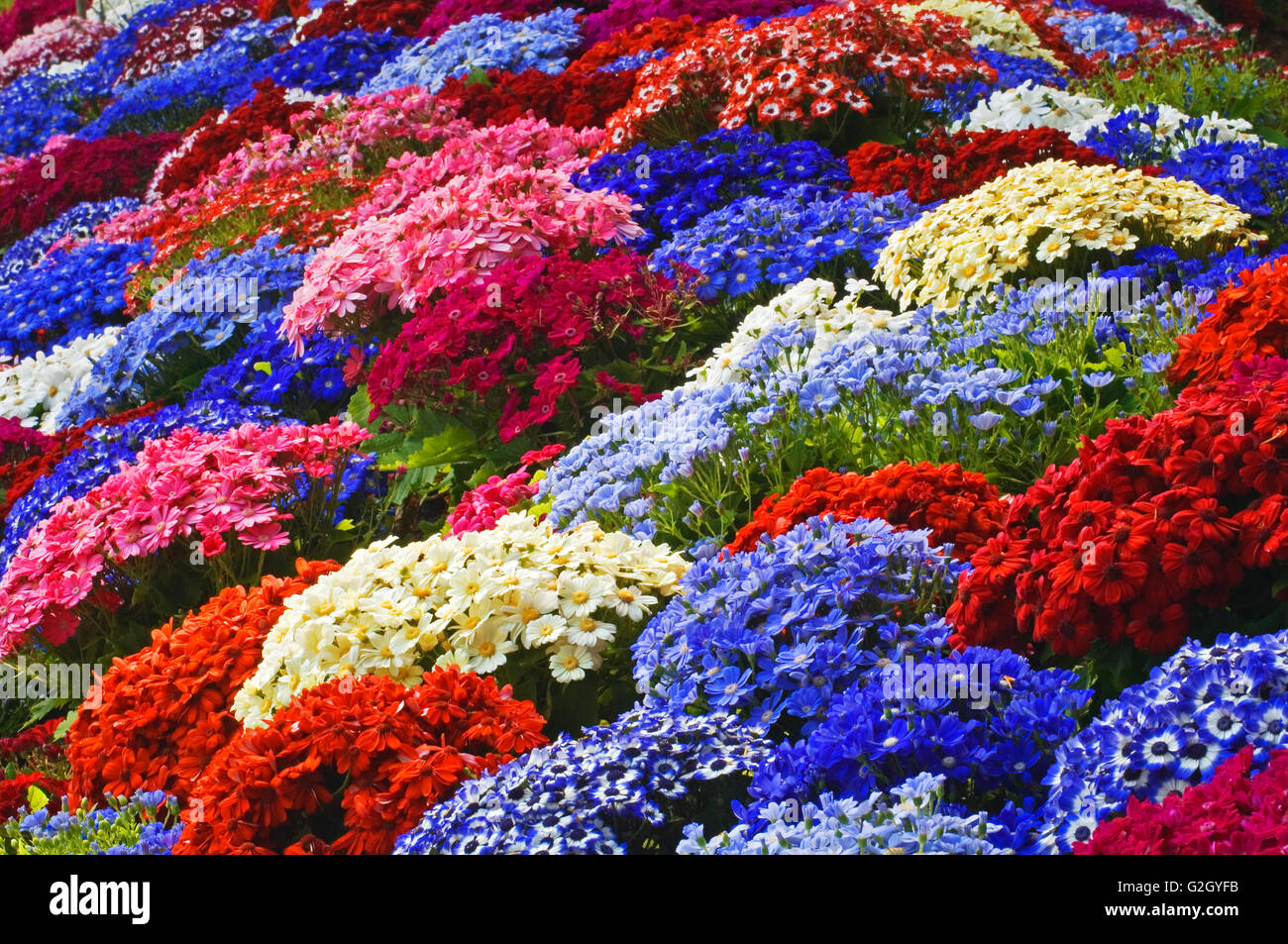 Famosa in tutto il mondo ai Giardini Butchart Victoria British Columbia Canada Foto Stock