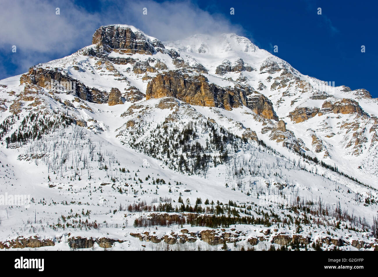 Mt. Whymper d'inverno. Kootenay National Park Kootenay National Park della Columbia britannica in Canada Foto Stock