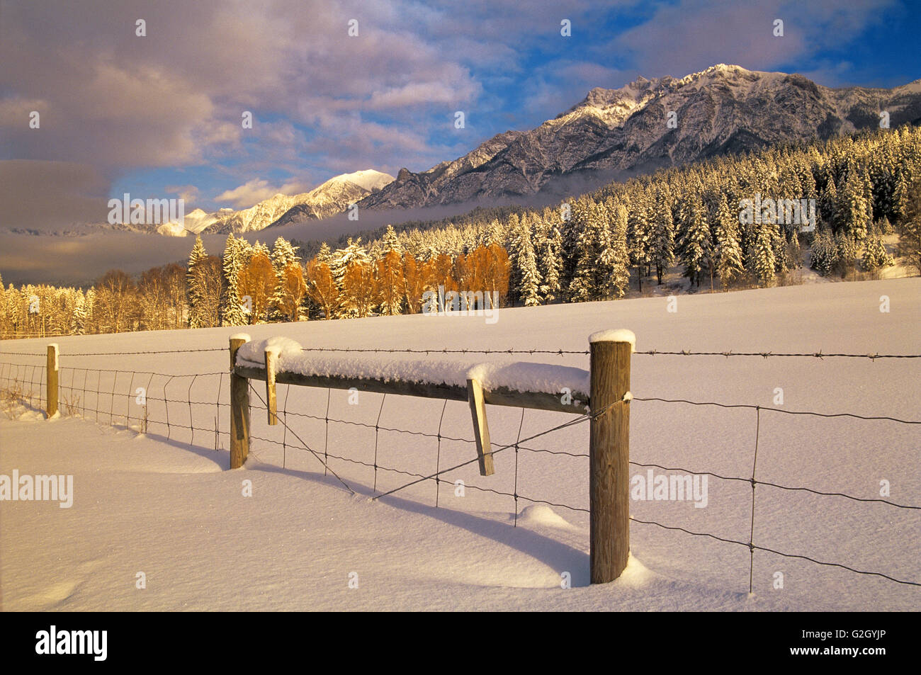 Inverno con recinto e terreni agricoli a bordo della Canadian Rocky Mountains Edgewater della Columbia britannica in Canada Foto Stock