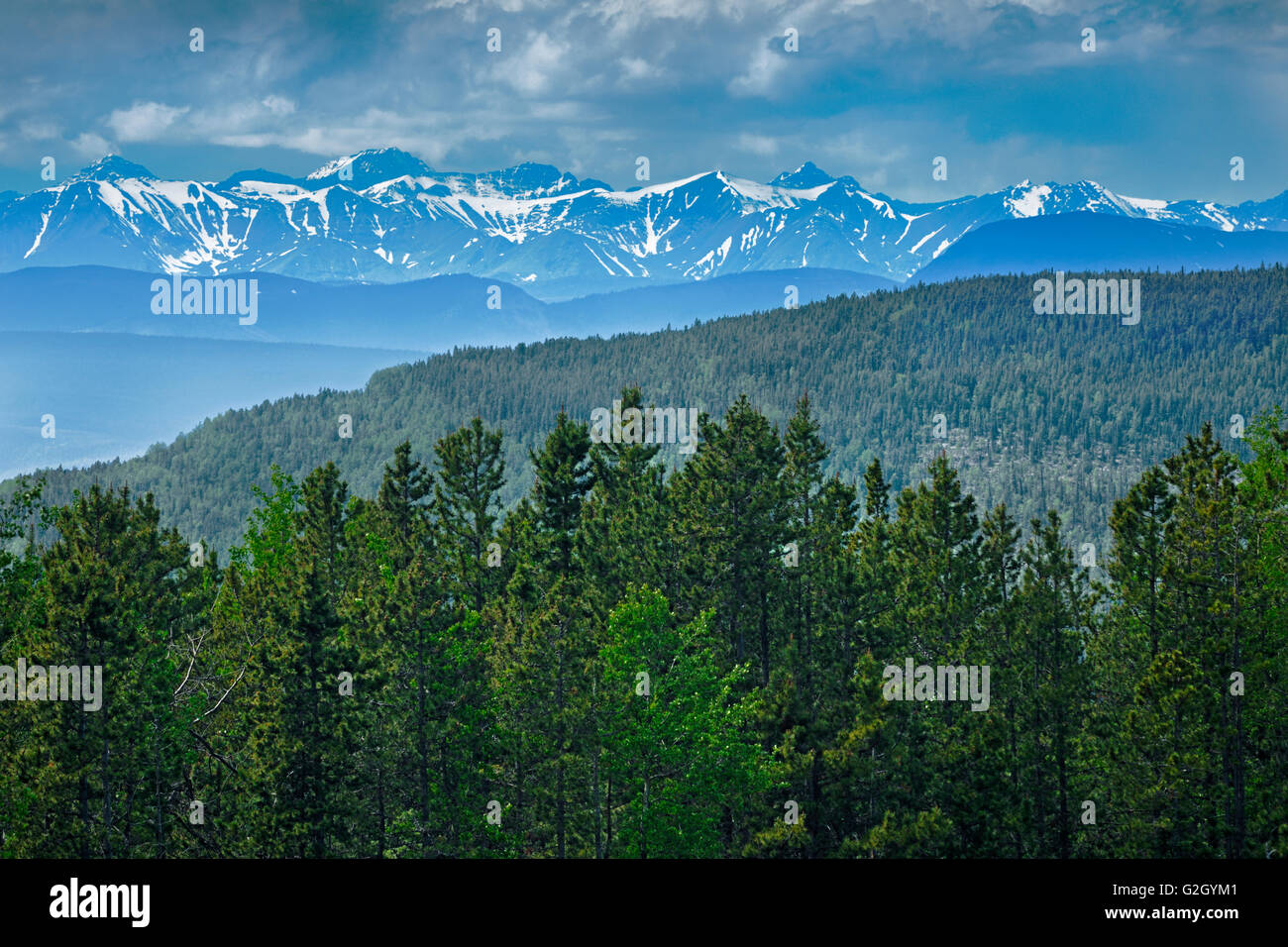 Sezione settentrionale della Canadian Rockies vicino a Stone Mountain Parco Provinciale della Columbia britannica in Canada Foto Stock