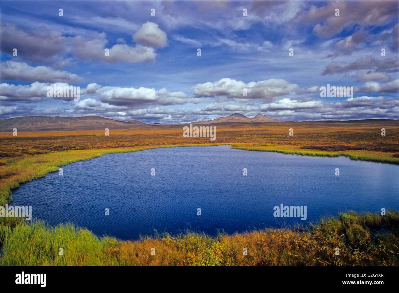 Laghetto dietro il North Fork Pass Dempster Highway Yukon Canada Foto Stock