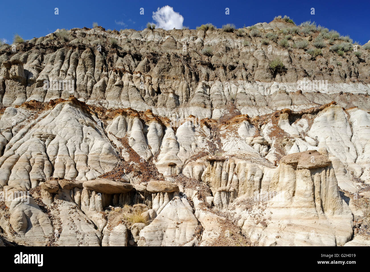 Badlands lungo il cervo rosso fiume vicino a Morin Alberta Canada Foto Stock