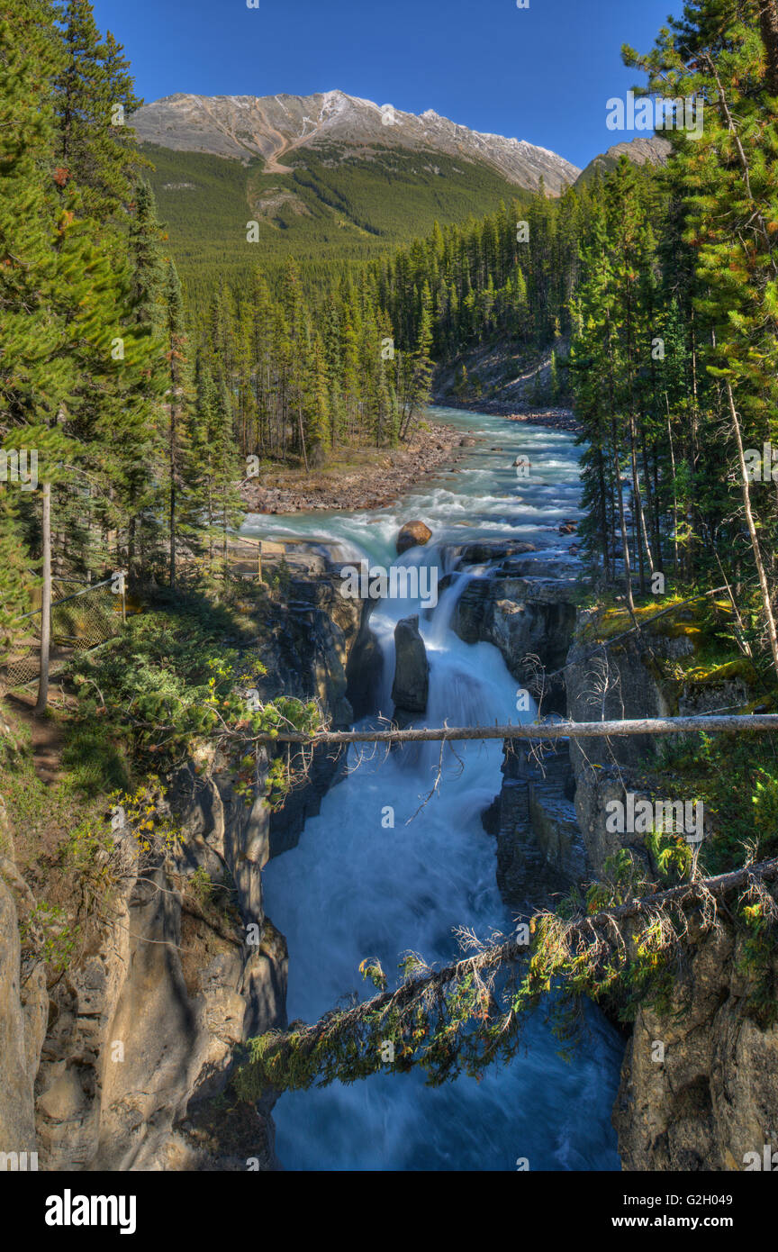 Sunwapta Falls del Parco Nazionale di Jasper Alberta Canada Foto Stock