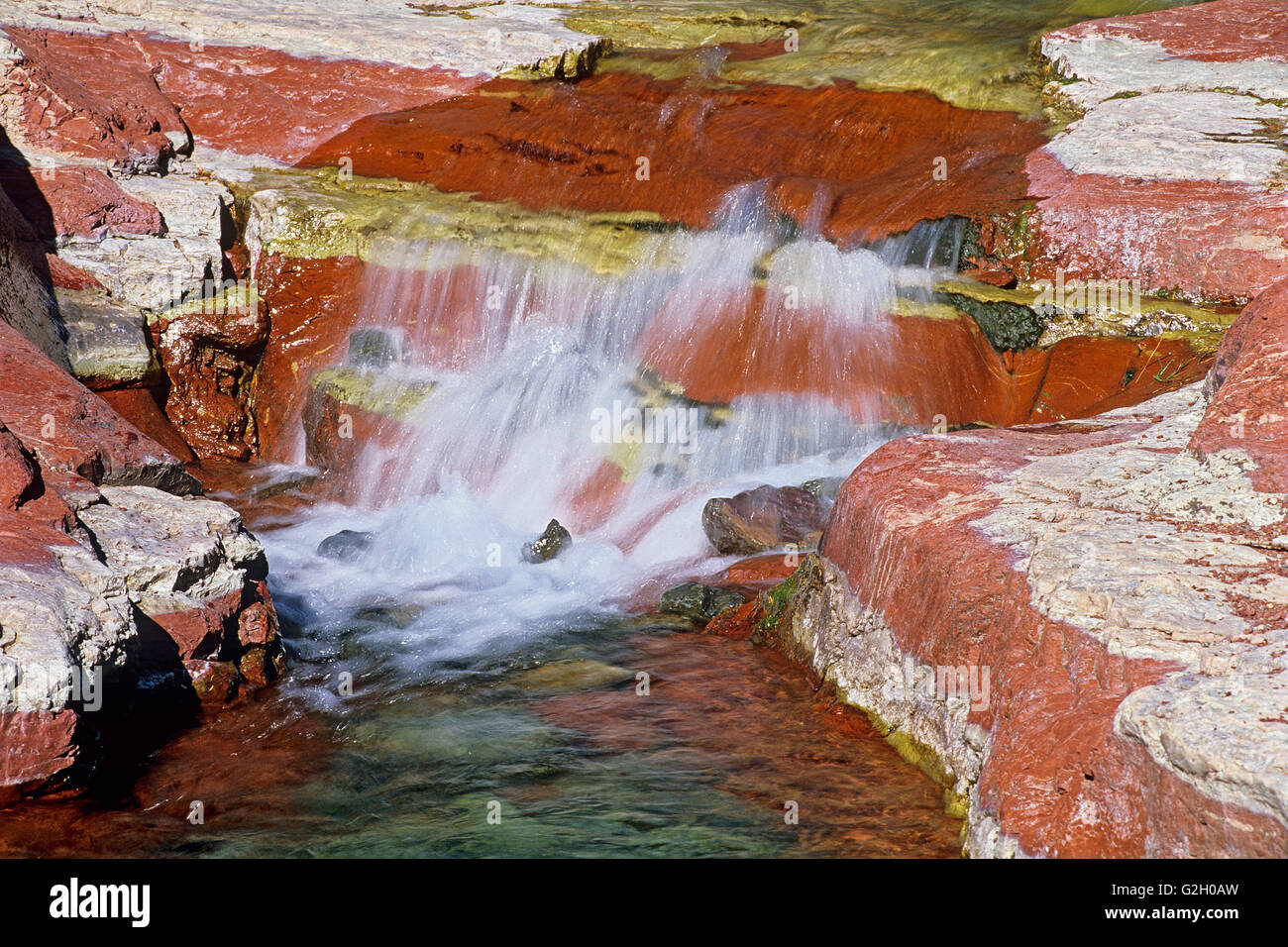 L'acqua scorre oltre il rosso e il verde argillite rock in Red Rock Canyon Parco Nazionale dei laghi di Waterton Alberta Canada Foto Stock