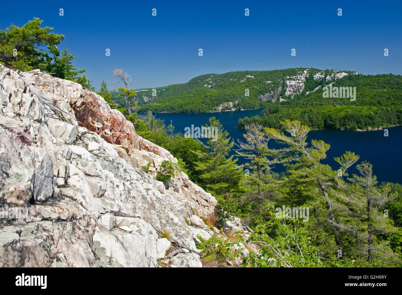 Quarzite bianca roccia della La Cloche colline al lago Killarney Killarney Provincial Park Ontario Canada Foto Stock