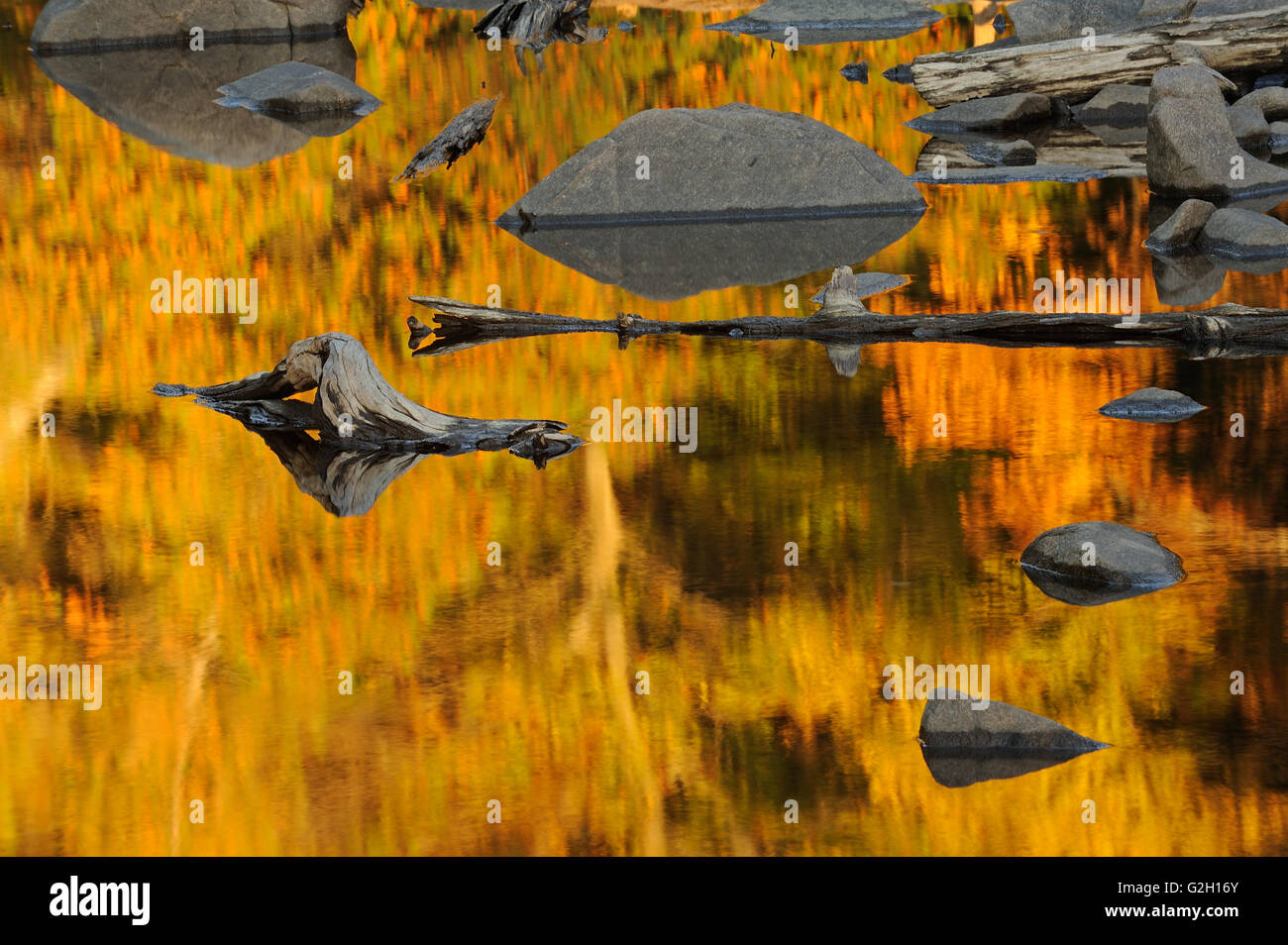 In autunno la riflessione sul lago Paudash Paudash Lago Ontario Canada Foto Stock