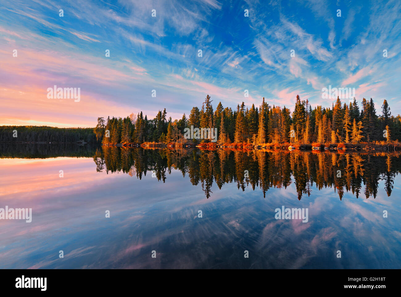 La riflessione al tramonto della foresta boreale in grafica grafica Lago Lago vicino Kenora Ontario Canada Foto Stock