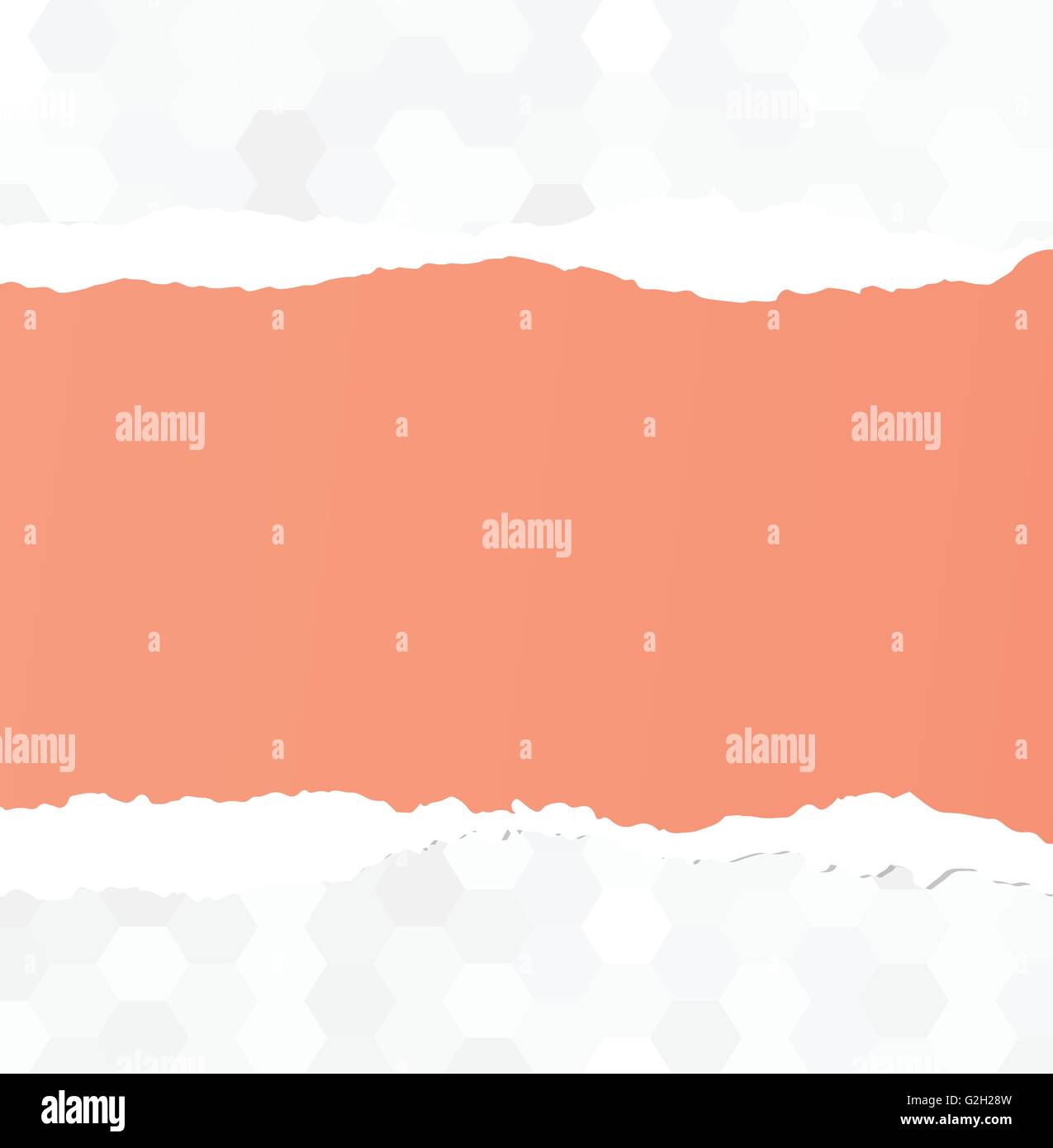 Rosa strappato carta bianca sono bloccati sul modello grigio Illustrazione Vettoriale