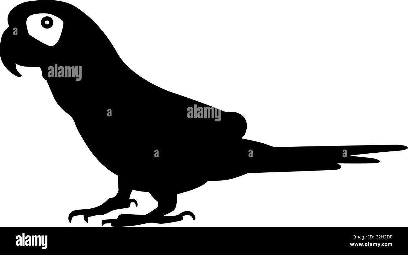Piccole Silhouette di Parrot Foto Stock