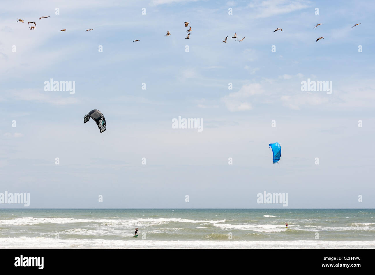 Pellicani e kitesurfisti condividere il cielo su una St. Augustine Beach in North Florida. (USA) Foto Stock