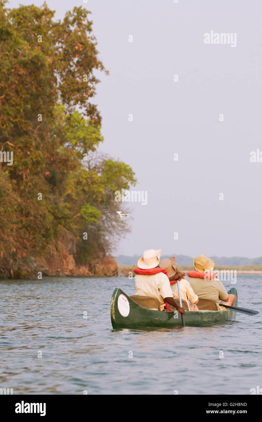 Safari Africano e guida i turisti paddling una canoa sul fiume Zambesi vicino a Parco Nazionale del Lower Zambesi, Zambia, Africa Foto Stock