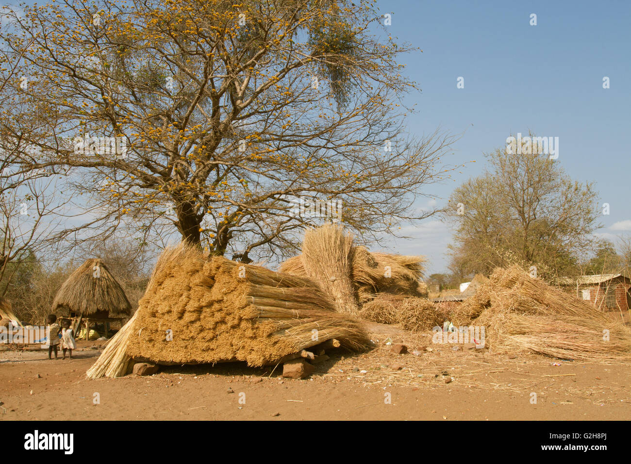 Giovane africano un ragazzo e una ragazza accanto al mucchio di materiale per la realizzazione di un tetto di paglia al Chiawa Villaggio Culturale sul fiume Zambesi Foto Stock