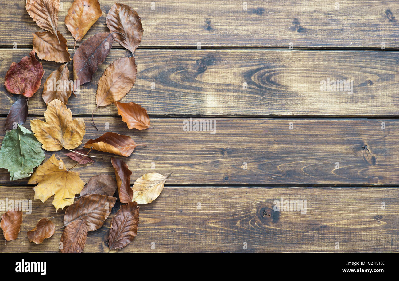 Asciugare le foglie di autunno su sfondo di legno Foto Stock