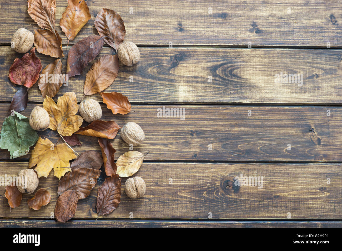 Asciugare le foglie di autunno su sfondo di legno Foto Stock