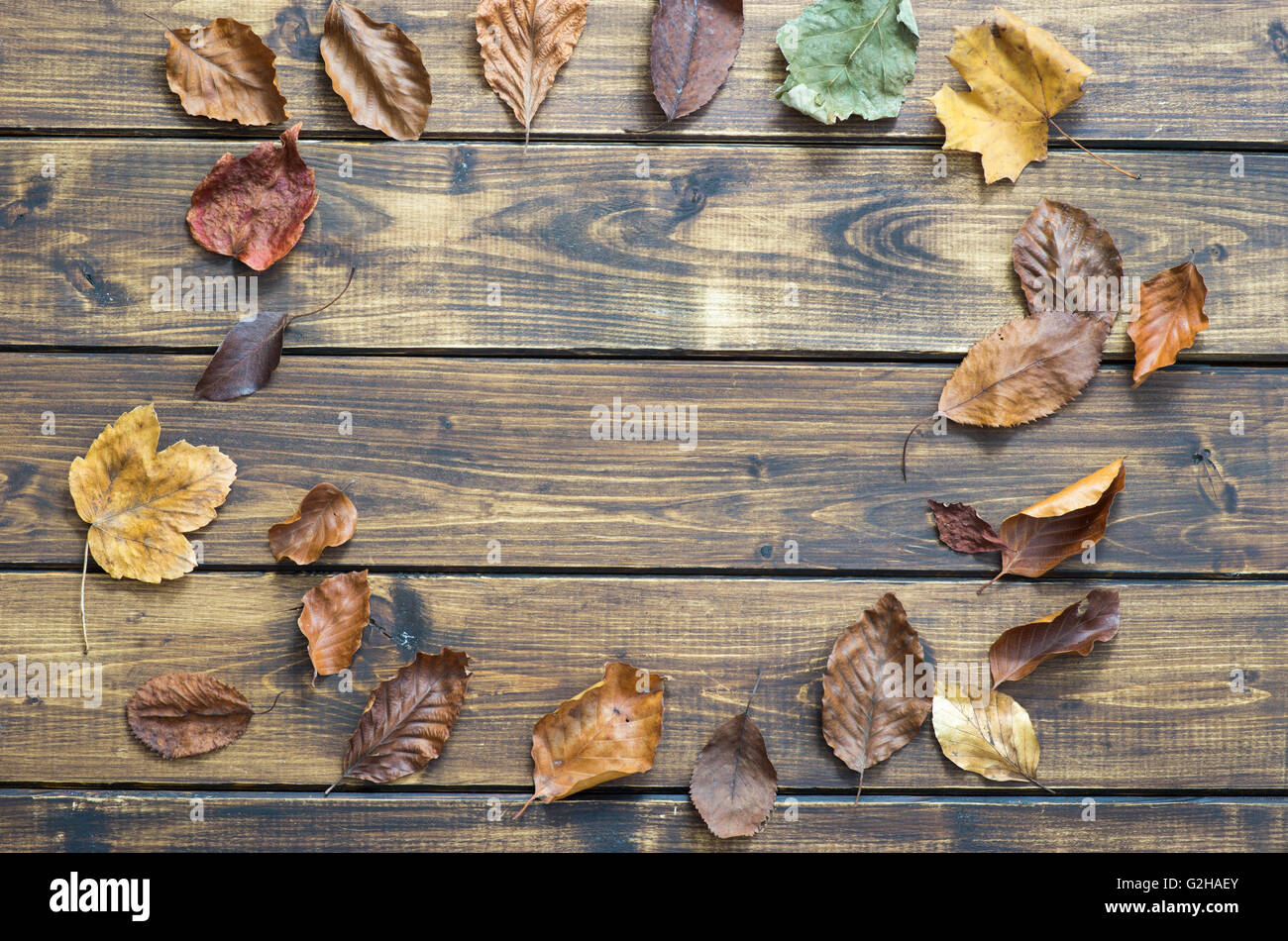 Asciugare le foglie di autunno fanno da cornice su sfondo di legno Foto Stock