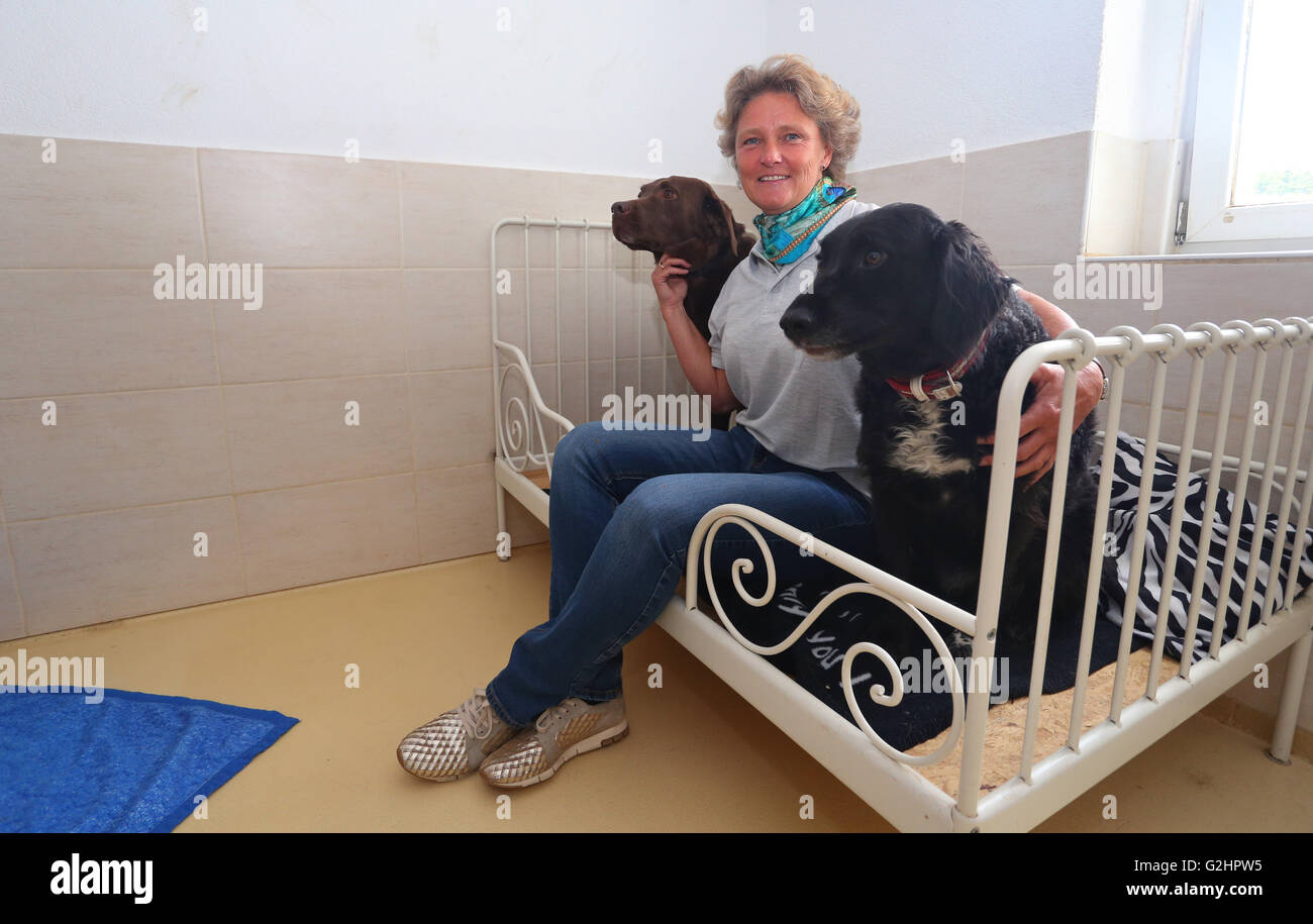 Kettershausen, Germania. 25 Maggio, 2016. Claudia Volz siede su un letto a fianco a lei i cani Lui e la Luna in una stanza di un hotel in un hotel del cane in Kettershausen, Germania, 25 maggio 2016. Foto: Karl-Josef Hildenbrand /dpa/Alamy Live News Foto Stock