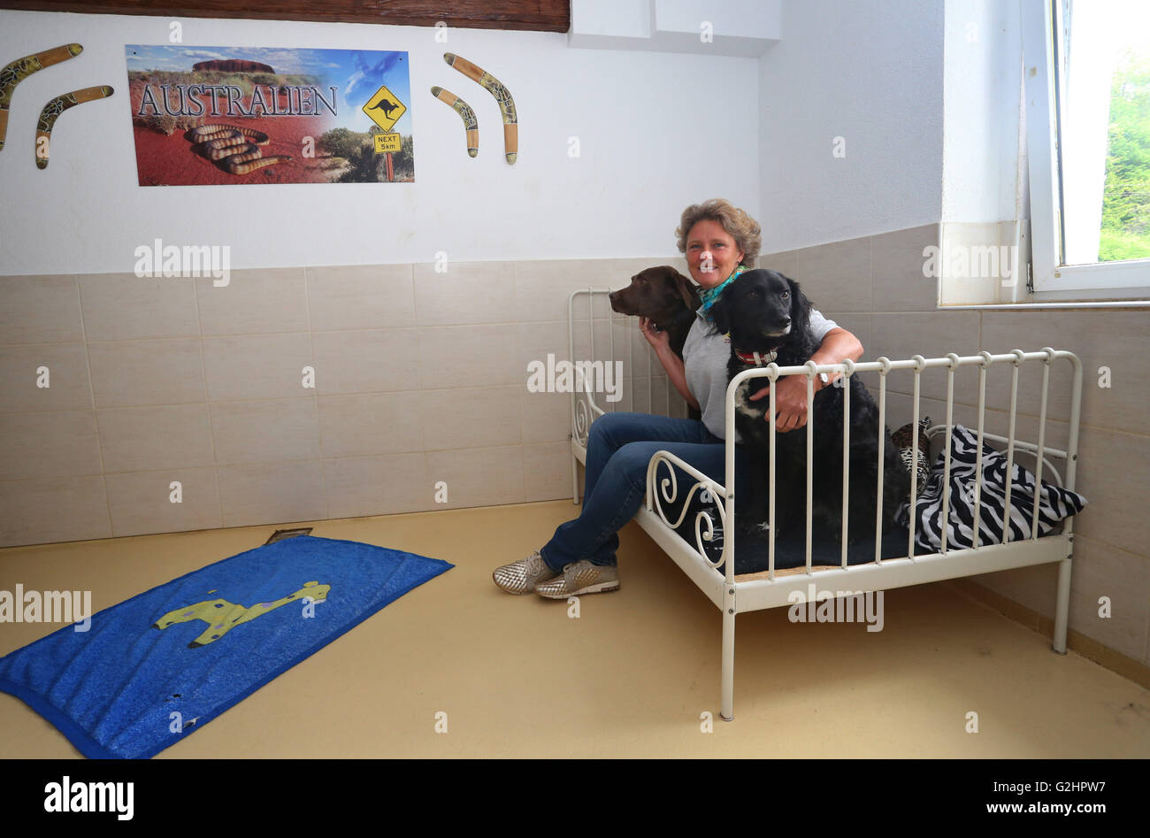 Kettershausen, Germania. 25 Maggio, 2016. Claudia Volz siede su un letto a fianco a lei i cani Lui e la Luna in una stanza di un hotel in un hotel del cane in Kettershausen, Germania, 25 maggio 2016. Foto: Karl-Josef Hildenbrand /dpa/Alamy Live News Foto Stock
