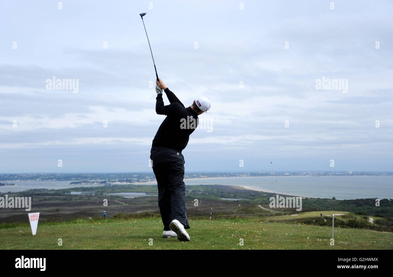 Isola di Purbeck Golf Club, Dorset, Regno Unito, 31 maggio 2016. Sam Robertshawe (l'esercito GC) dischi dal 5° foro durante il secondo round del Jamega Pro Golf Tour all'Isola di Purbeck Golf Club, Inghilterra con il litorale di Bournemouth in background. Credito: David Partridge / Alamy Live News Foto Stock