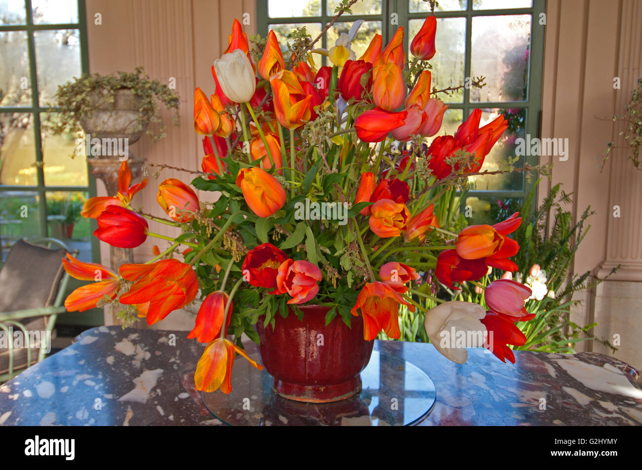 Un display di tulipani nel giardino murato del Filoli House e Giardini di Woodside California Foto Stock