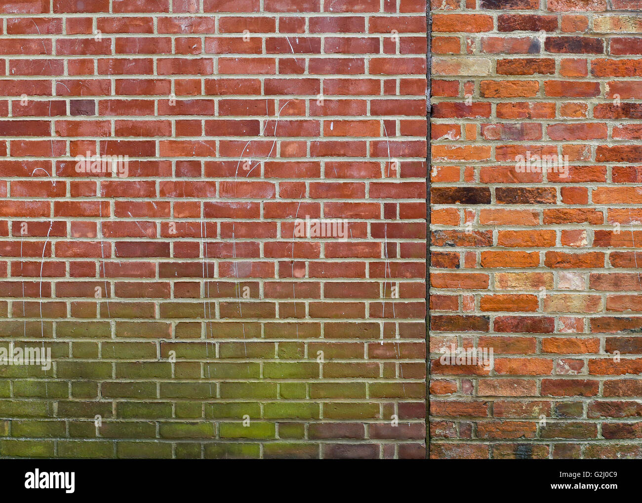 Sfondo di due pareti in muratura con gap tra verde e texture di muschio Foto Stock