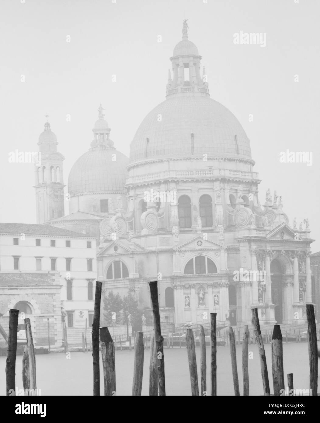 La luce del mattino, Santa Maria della Salute, Venezia, Italia Foto Stock