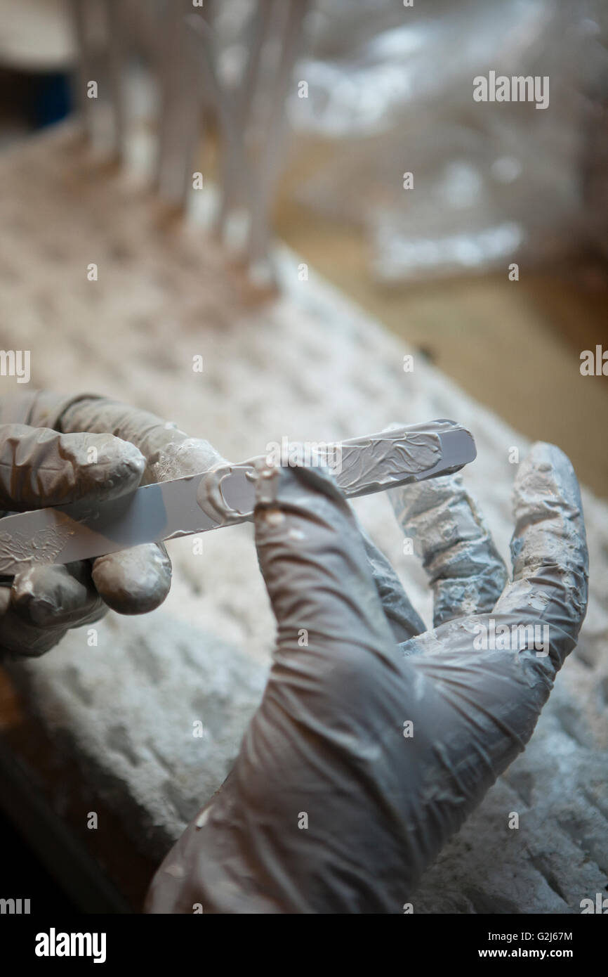 Tag Geo per identificare le piantine, Hawaiian latifoglie Legacy, Kukaiau Ranch, Mauna Kea Foto Stock
