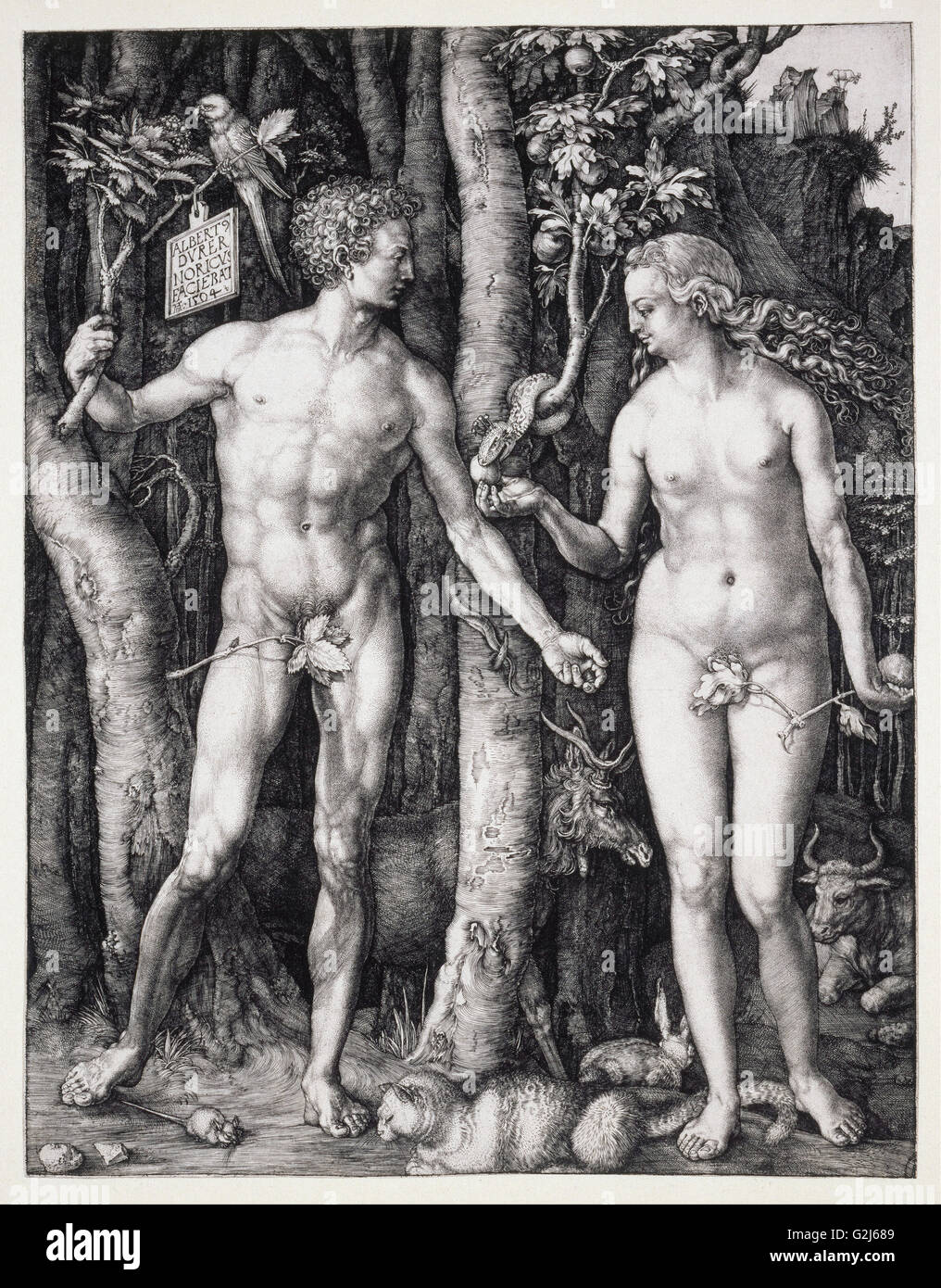 Albrecht Durer - La caduta dell uomo (Adamo ed Eva) - Museo delle Belle Arti di Boston Foto Stock