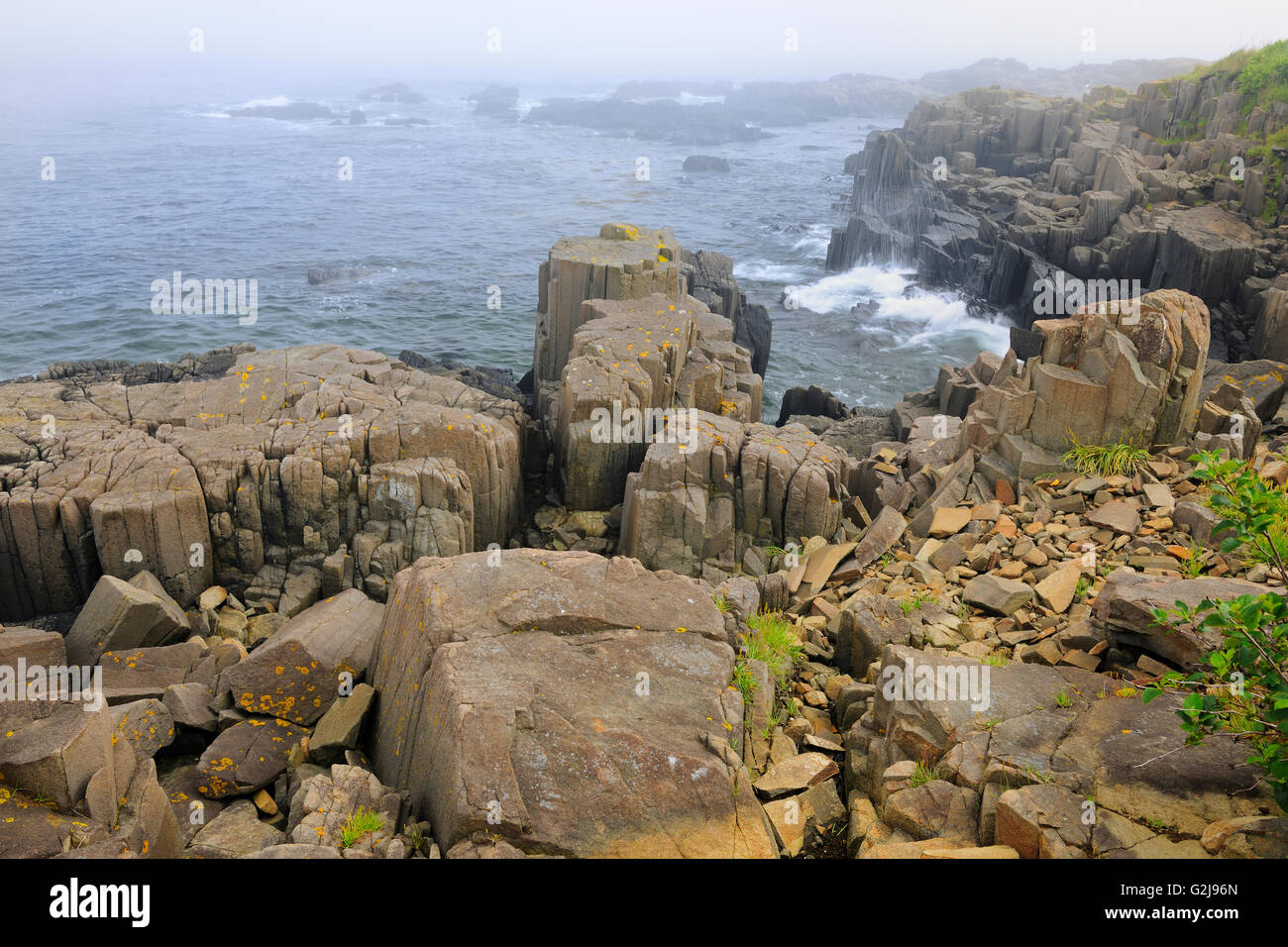 Rocce basaltiche sulla Baia di Fundy Brier Island Nova Scotia Canada Foto Stock
