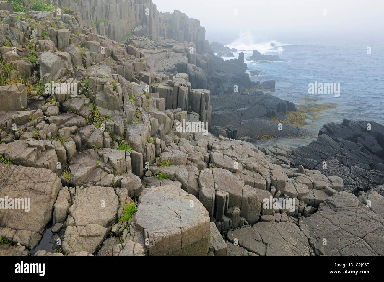 La nebbia e rocce basaltiche che lungo la baia di Fundy Brier Island Nova Scotia Canada Foto Stock