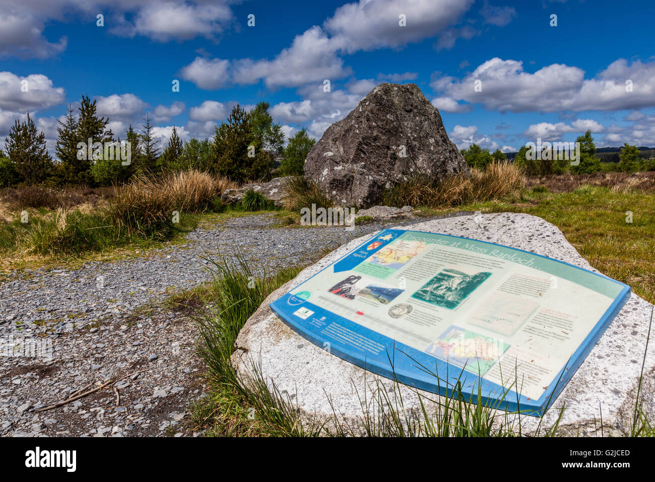 Bruce della pietra, vicino Clatteringhsaws Loch, Galloway Forest Park, Dumfries and Galloway, Scozia Foto Stock