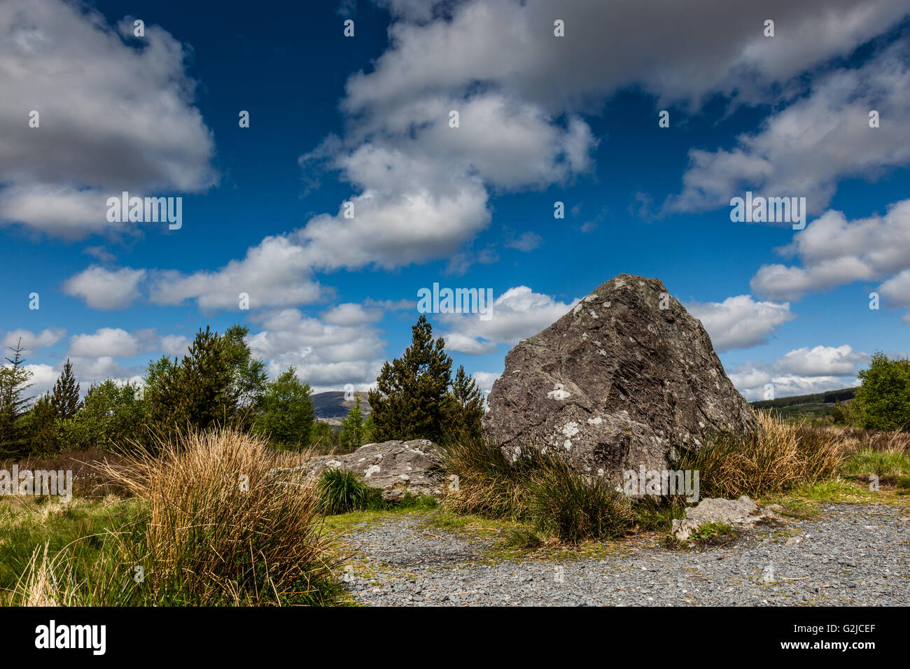 Bruce della pietra, vicino Clatteringshaws Loch, Galloway Forest Park, Dumfries & Galloway, Scozia Foto Stock