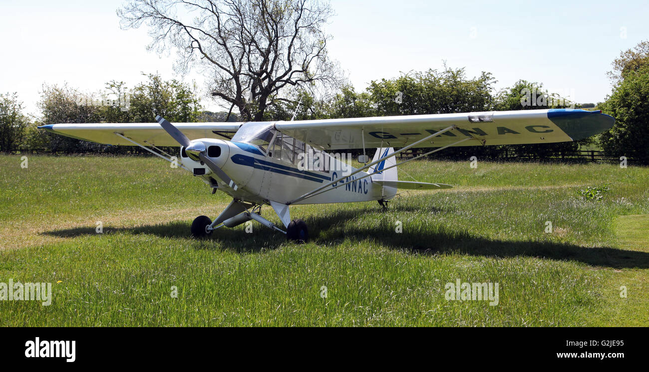 Peter Wild il Piper Super Cub PA18 aeromobili leggeri presso un aeroporto nello Yorkshire, Regno Unito Foto Stock