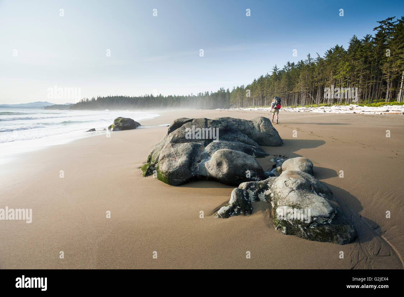 Una femmina di escursionista trekking lungo la spiaggia, West Coast Trail, Pacific Rim Parco nazionale di riserva, l'isola di Vancouver, BC, Canada. Foto Stock