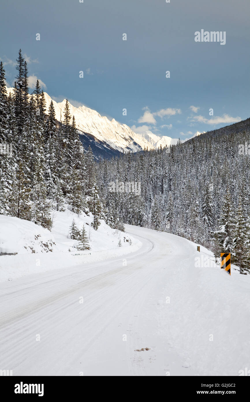 Coperta di neve montagna segno, Alberta, Canada Foto Stock