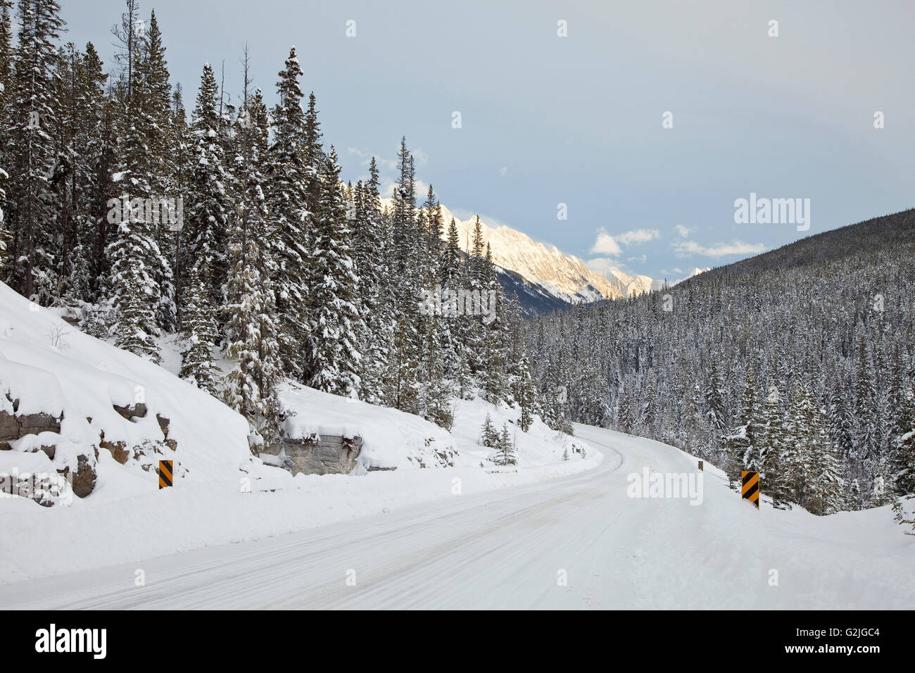 Coperta di neve montagna segno, Alberta, Canada Foto Stock