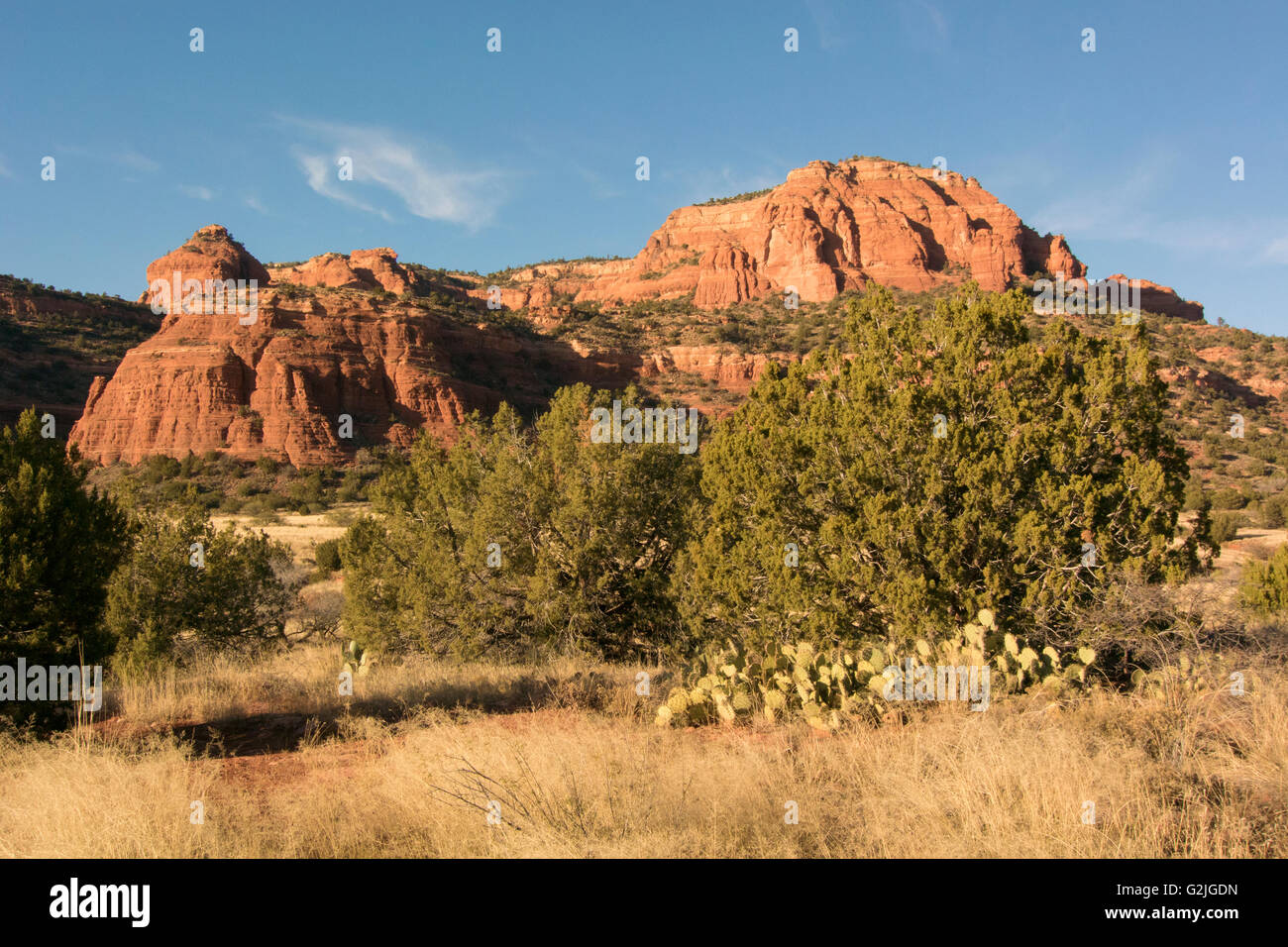 New Scenic 5 posti di Bear Mountain, Coconino National Forest, AZ ematite/ossido di ferro roccia sedimentaria stabilite durante il paleozoico Era. Foto Stock