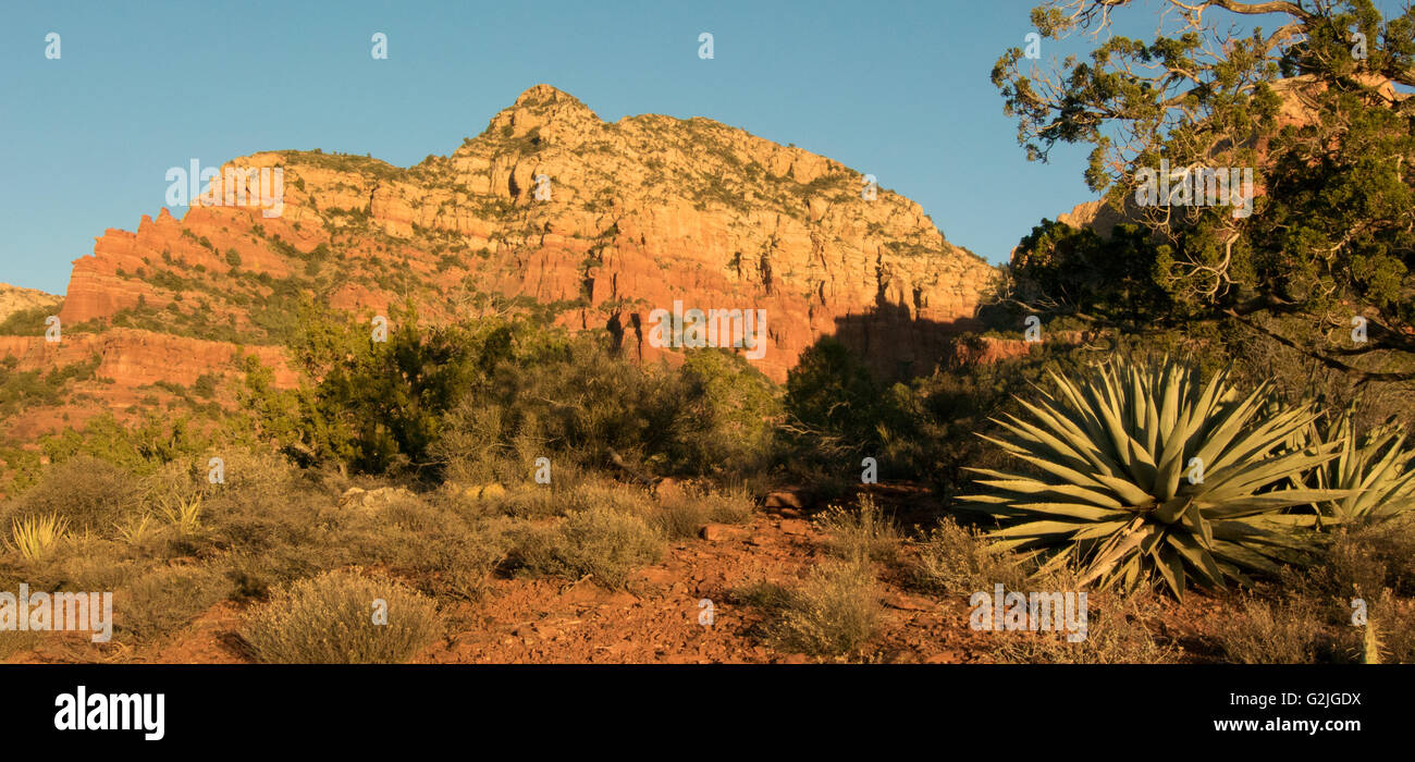 Scenic red rock formazioni in Coconino National Forest Sedona in Arizona dal punto di vista geologico - Ematite/ossido di ferro roccia sedimentaria stabilite Foto Stock