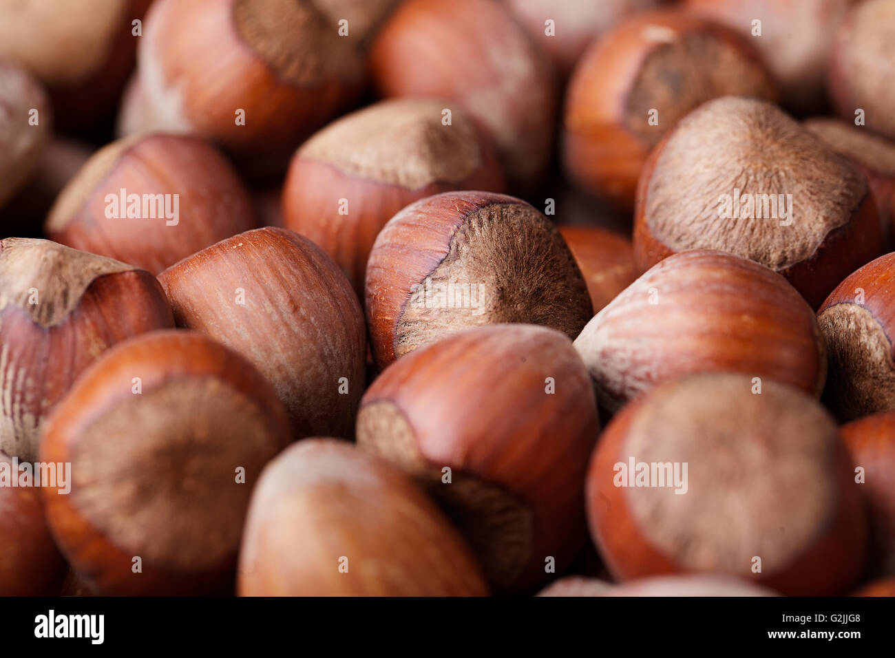 Nocciola nocciole nocciole noci corylus cobnut nocciola nocciola dado cob marrone di tutoli intero heap molti pila grande gruppo round mature Foto Stock