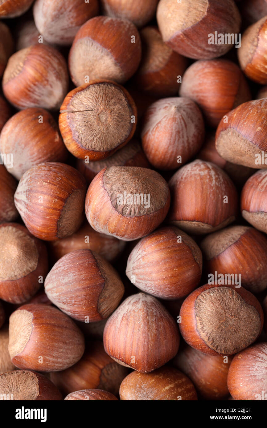 Nocciola nocciole nocciole noci corylus cobnut nocciola nocciola dado cob marrone di tutoli intero heap molti pila grande gruppo round mature Foto Stock