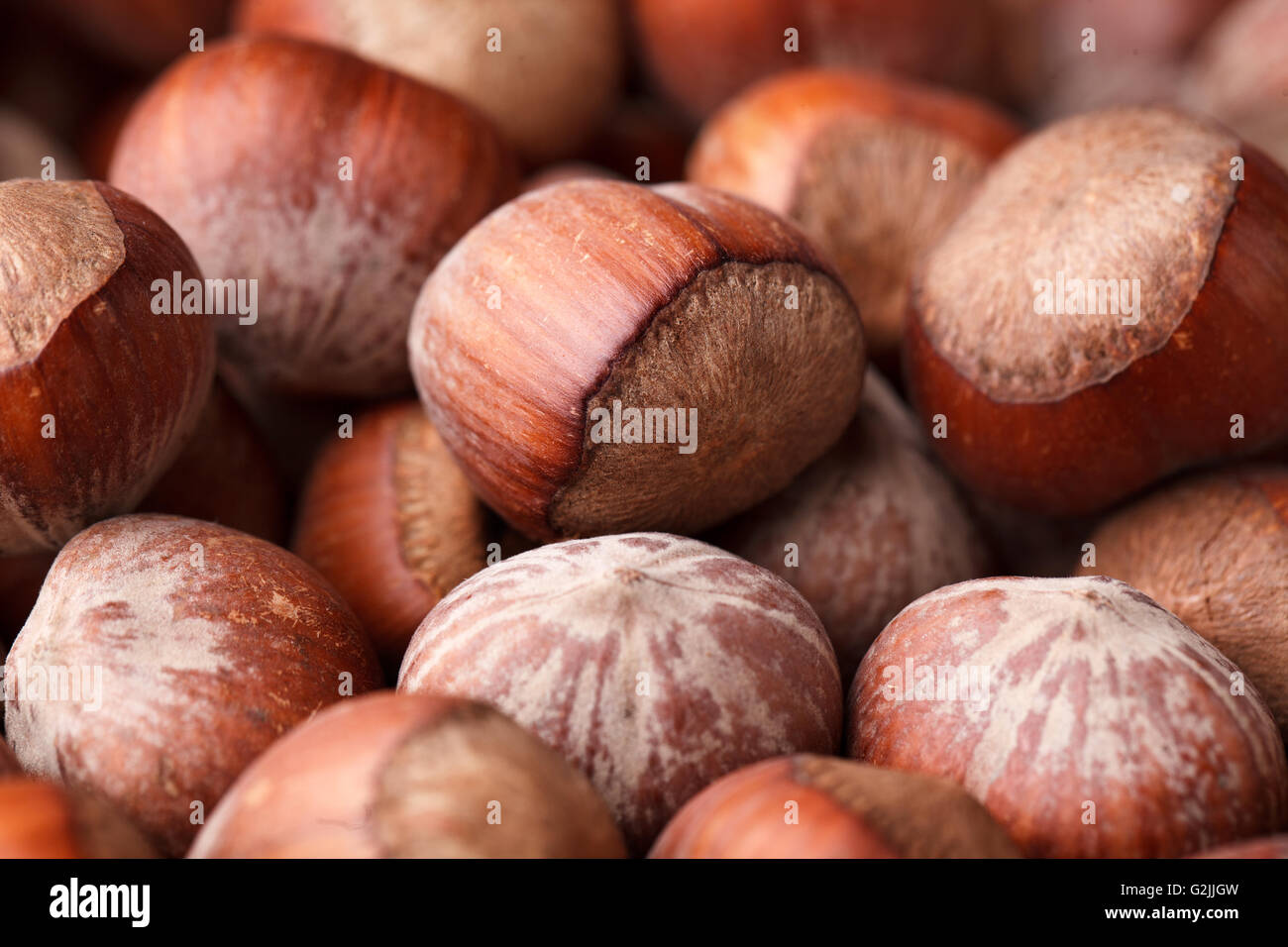 Nocciola nocciole nocciole noci corylus cobnut nocciola nocciola dado cob marrone di tutoli intero heap molti pila grande gruppo round mature Foto Stock