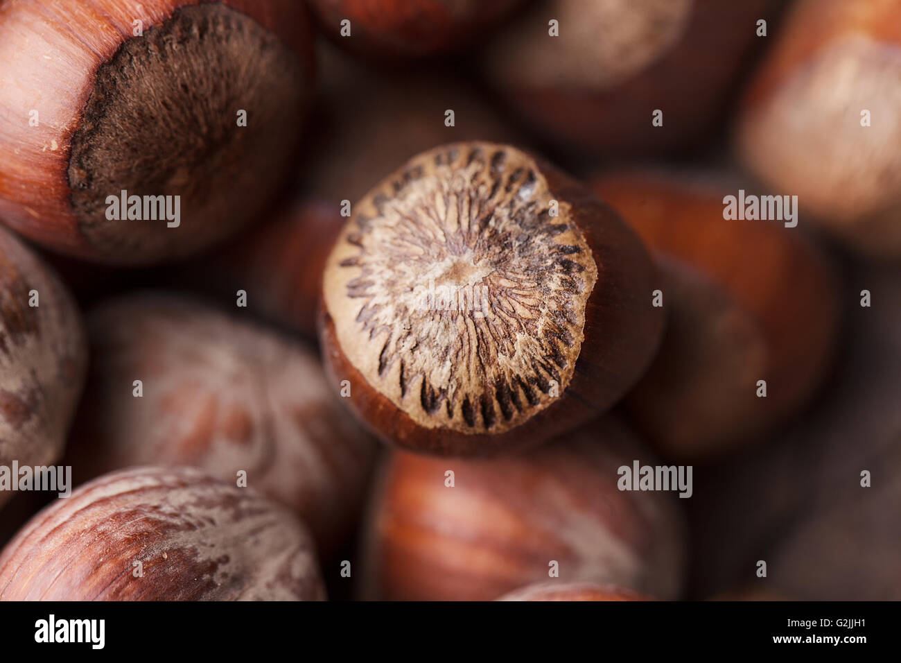 Nocciola nocciole nocciole noci corylus cobnut nocciola nocciola dado cob marrone di tutoli intero heap molti pila grande gruppo round mature Foto Stock