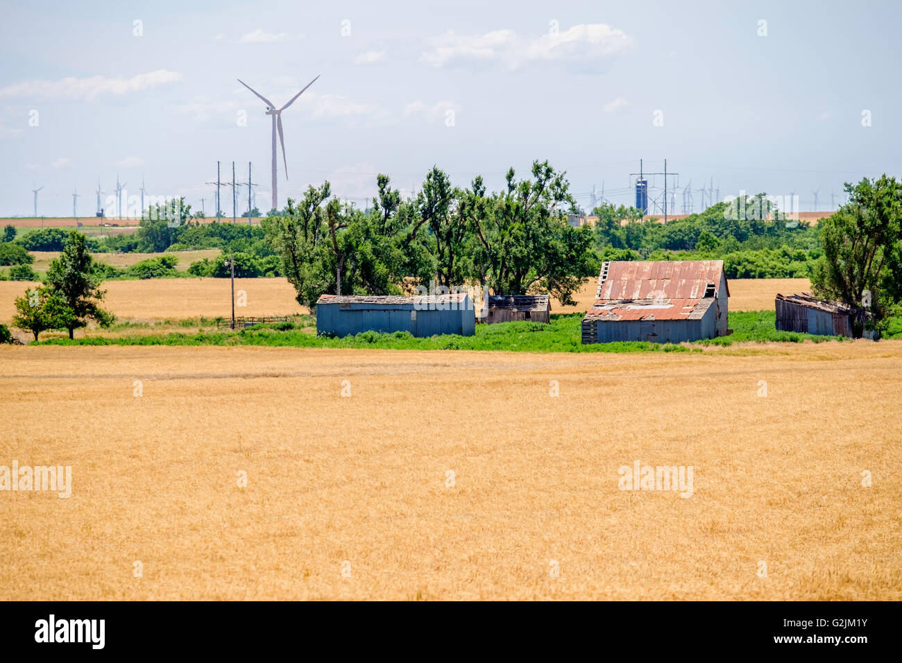 Terreno agricolo con campo di grano maturo in primo piano, vecchio fienile e parco eolico sullo sfondo. Oklahoma, Stati Uniti. Foto Stock