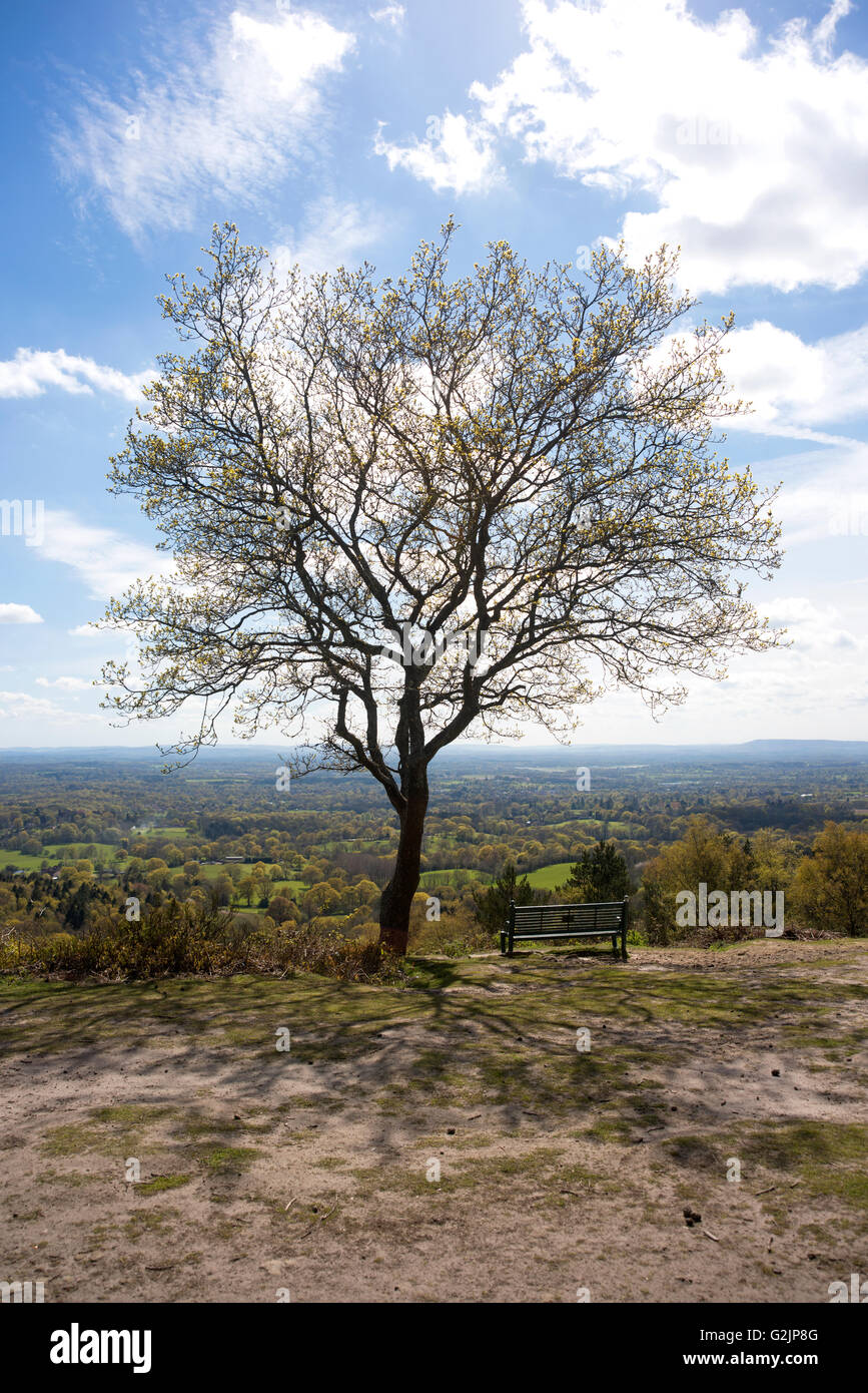 Vista sulla North Downs da Hurtwood foresta a Peaslake, in Surrey Foto Stock