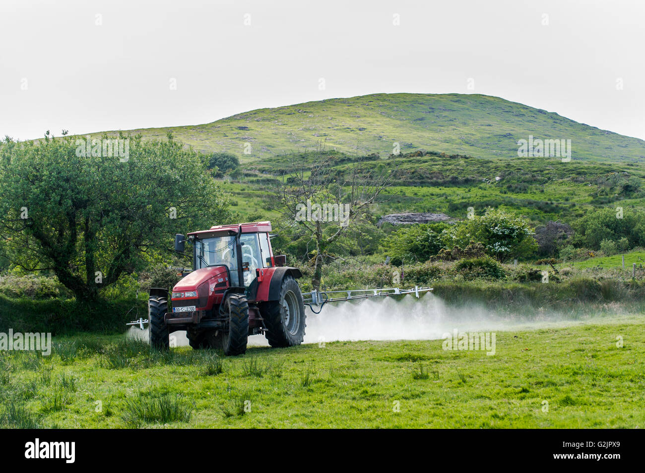 Agricoltore spruzza giunchi o precipita con alghe killer con montatura Corrin in background in Ballydehob, West Cork, Irlanda con copia spazio. Foto Stock