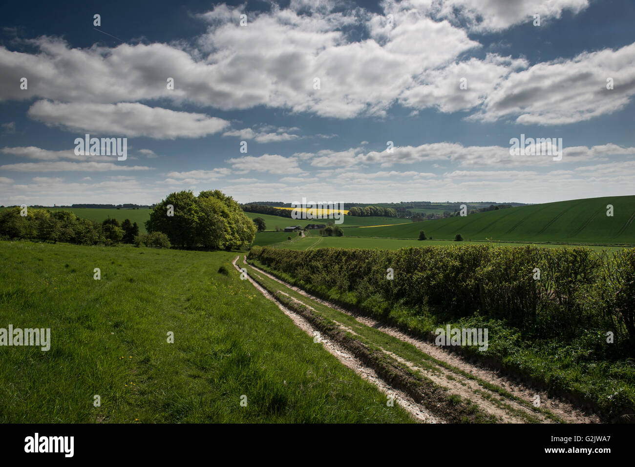 Downland vista da Giant's grave vicino a Aldbourne, Wiltshire, Regno Unito Foto Stock